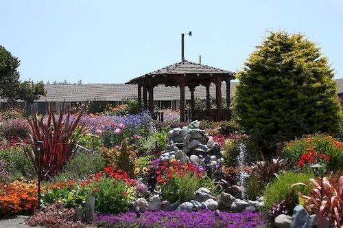 Surf Motel And Gardens Fort Bragg Luaran gambar